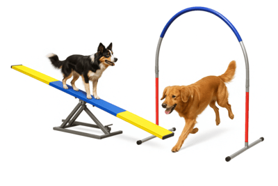 hoopers-agility