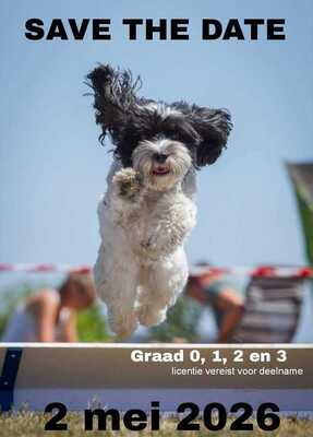 image-agilitywedstrijd-2026-volle-pagina